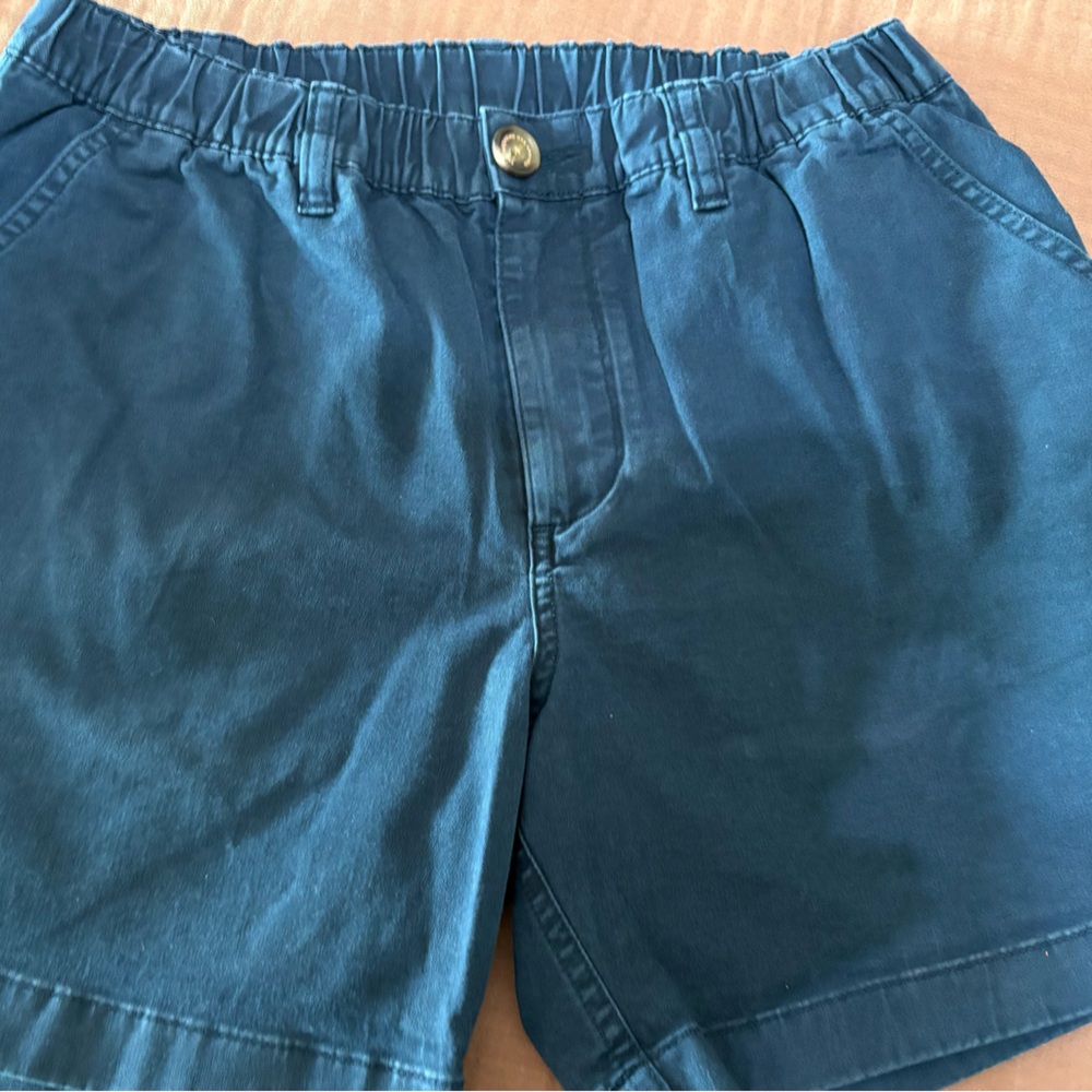 Chubbies Blue Men's Shorts
